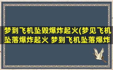 梦到飞机坠毁爆炸起火(梦见飞机坠落爆炸起火 梦到飞机坠落爆炸起火是什么意思)